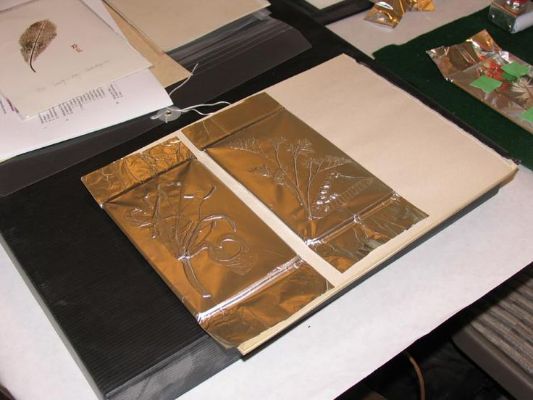 Collect natural objects like leaves