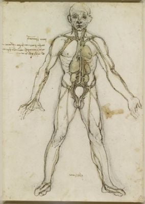 Da Vinci's Inventive Sketchbook