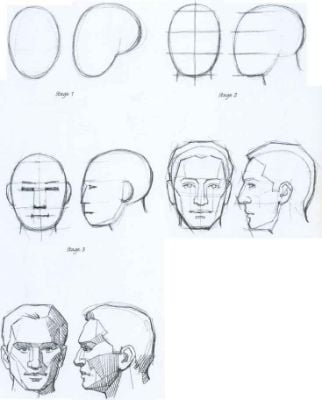 Divide the face 