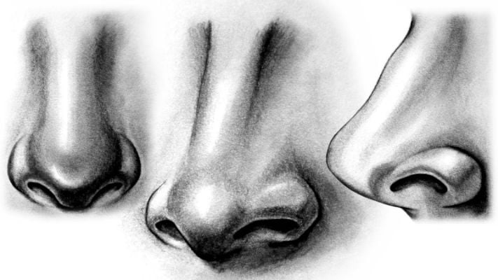 How to Draw Noses