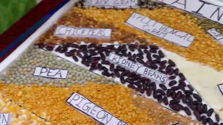 Incorporating Pulses into School Projects