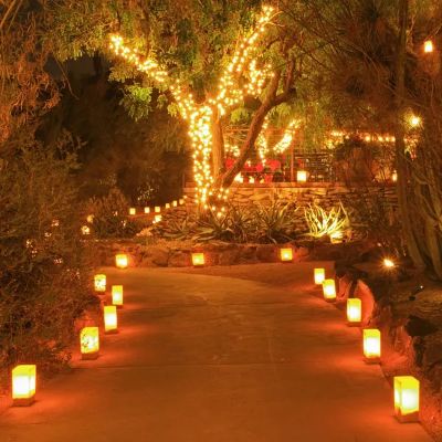 Luminaria Bags