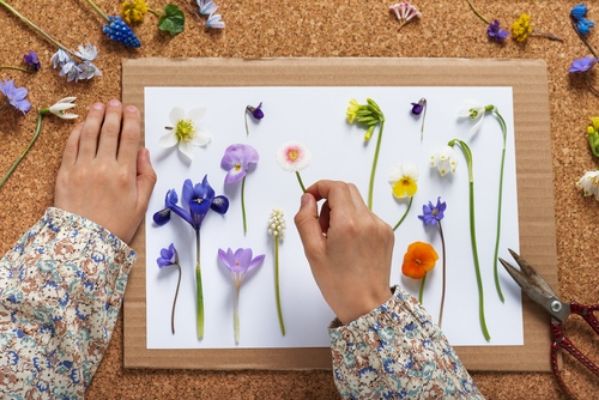 Pressed Flower Greeting Cards