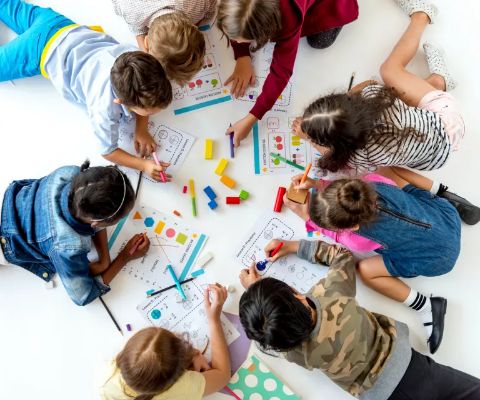 Socialization Opportunities 