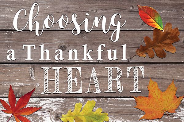 Thankful Reflections