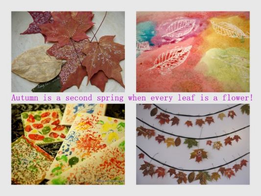 Thanksgiving pictures