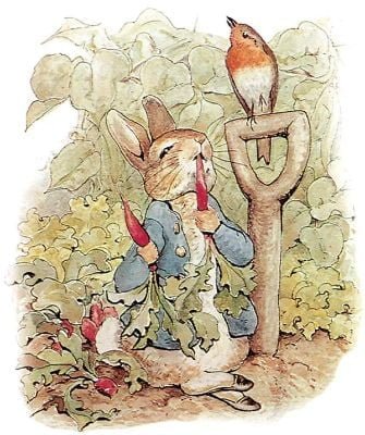The Tale of Peter Rabbit
