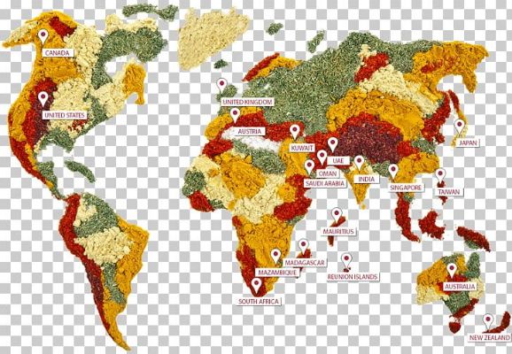 World Map