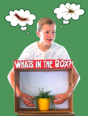 Senses Sensory Box Ideas For Adults 