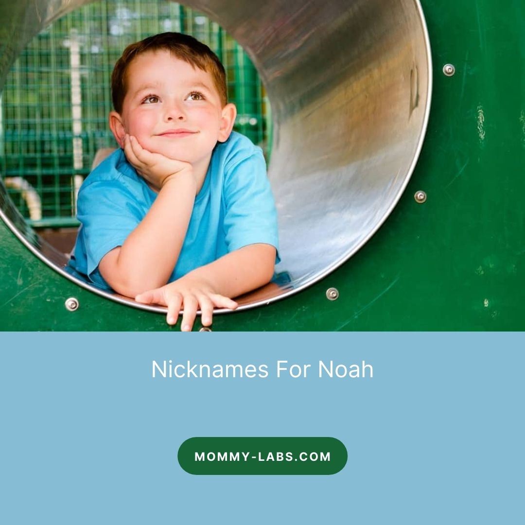 Nicknames For Noah