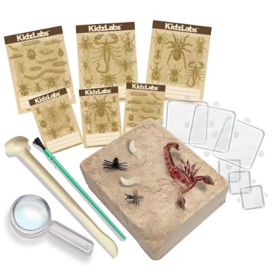 Creepy Crawly Excavation