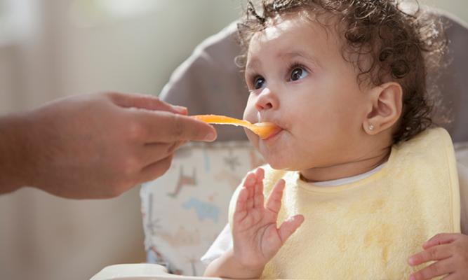 Best Dorothy Nicknames