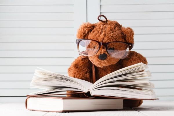 Creative Names For Stuffed Bears