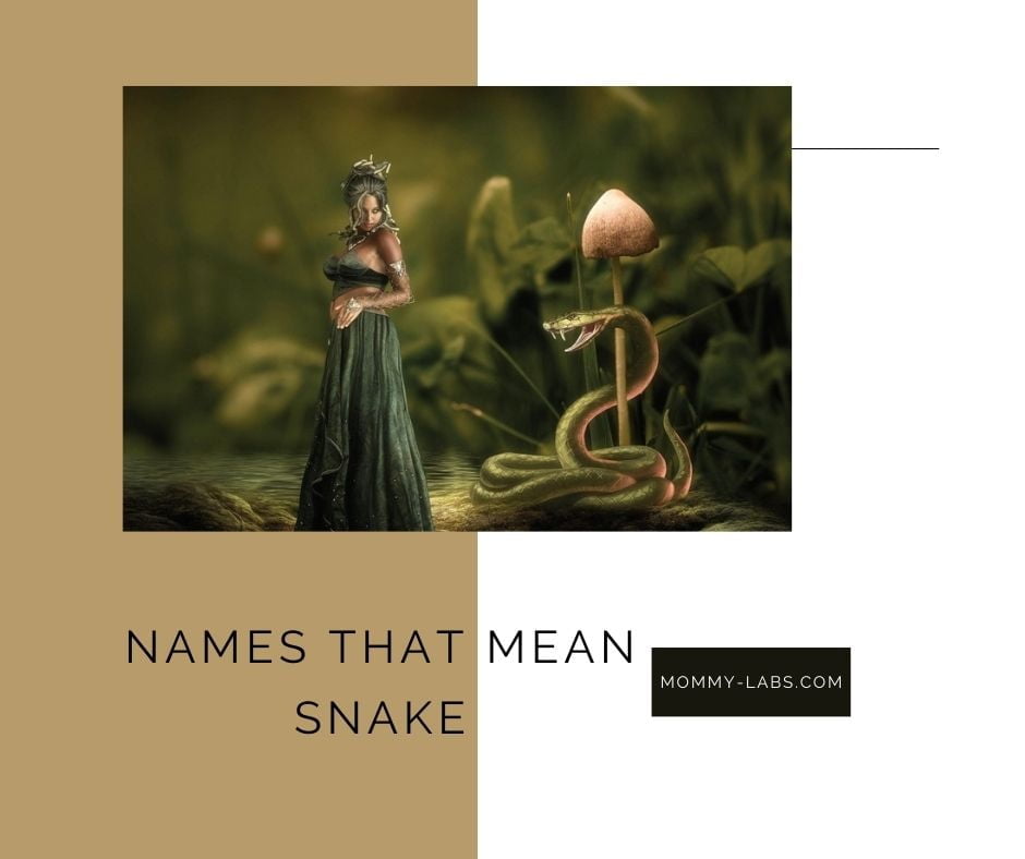 Names That Mean Snake