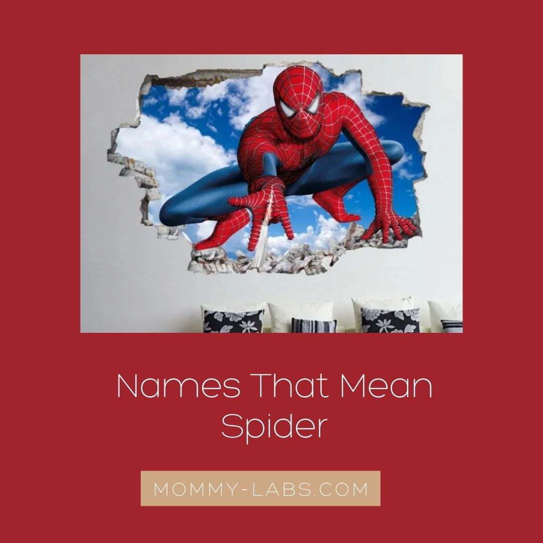 Names That Mean Spider