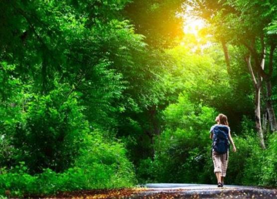 20 Nature Names For Gender Neutral