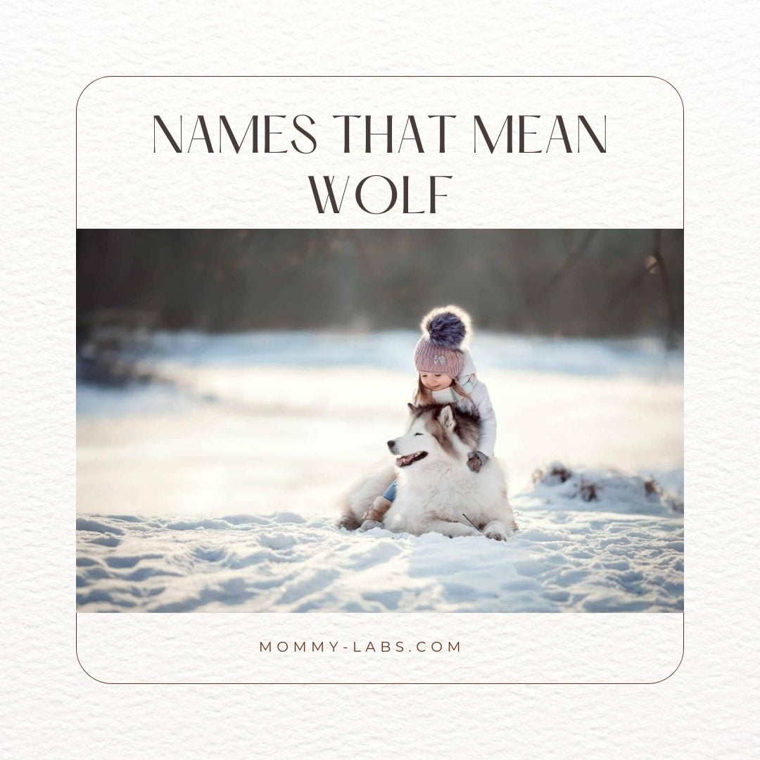 Names That Mean Wolf