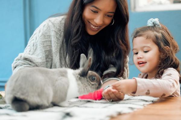 Top 100 Rabbit Names Girl